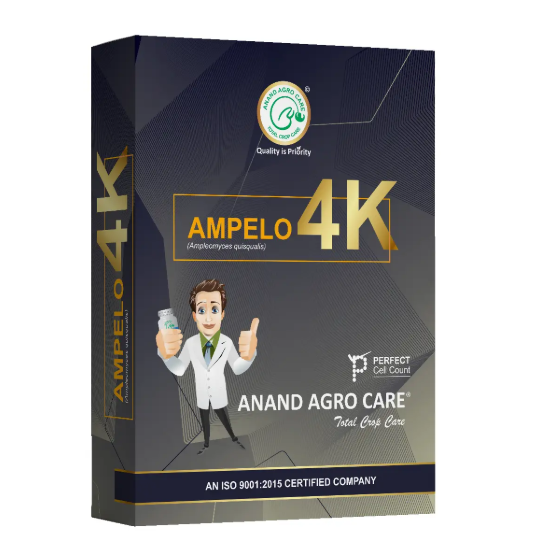Dr.Bacto's Ampelo - 4K