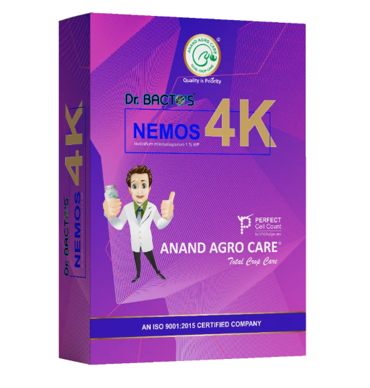 Dr.Bacto's Nemos - 4K