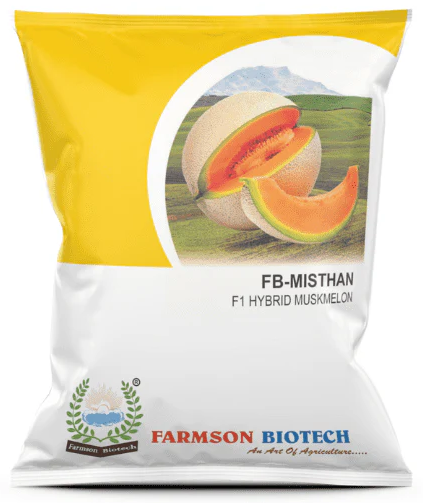 FB-MISTHAN F1 HYBRID MUSKMELON SEEDS