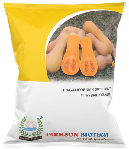 FB-CALIFORNIAN BUTTERNUT F1 HYBRID SQUASH SEEDS