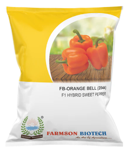 FB-ORANGE BELL (2044) F1 HYBRID SWEET PEPPER SEEDS