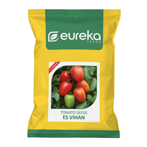 TOMATO ES VIHAN F1 HYBRID