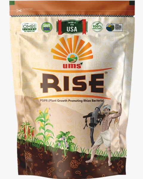 UMS RISE: PGPR plant growth promoting rhizo bacteria — PGR