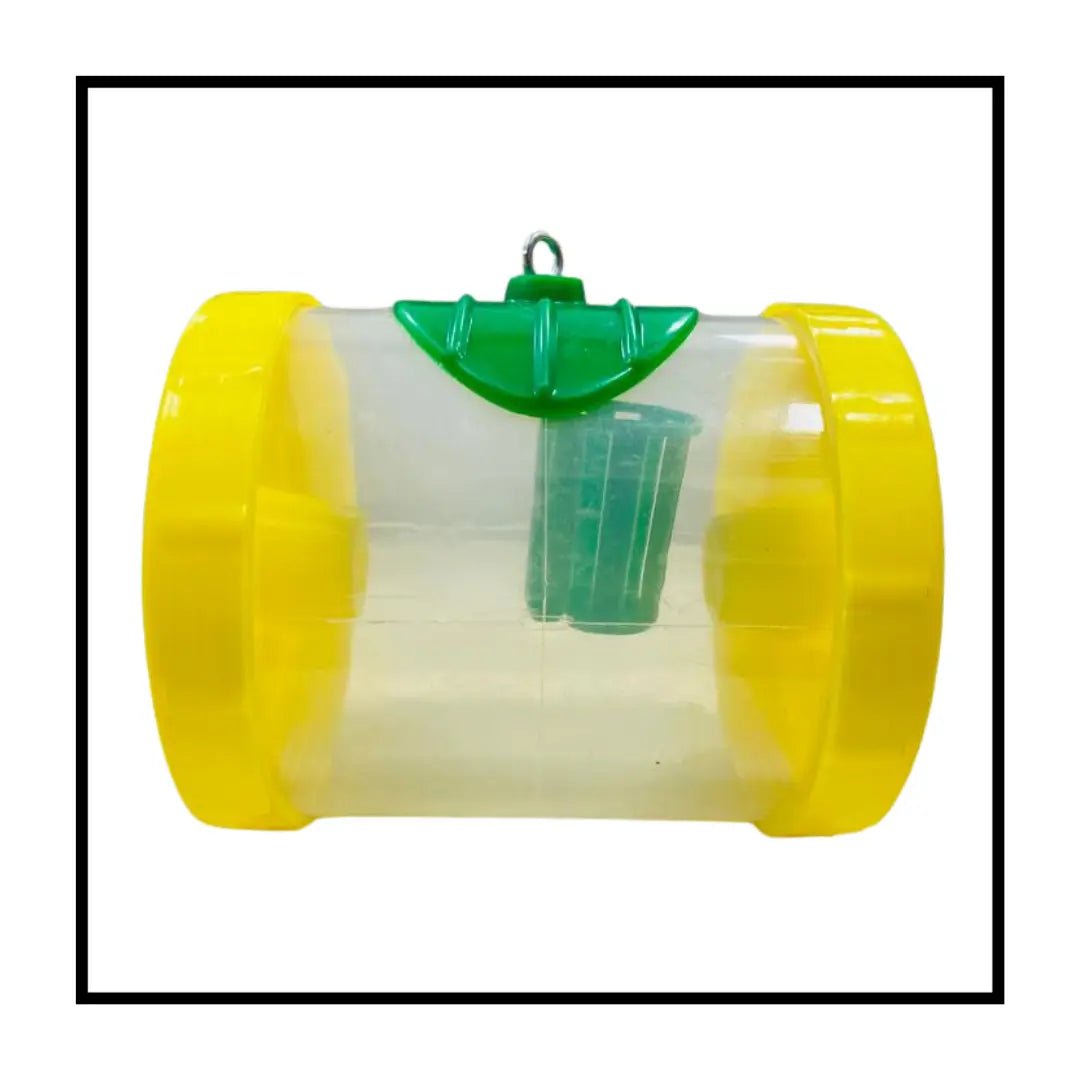 Crop protector-Fruit fly Trap (Pack of 10).