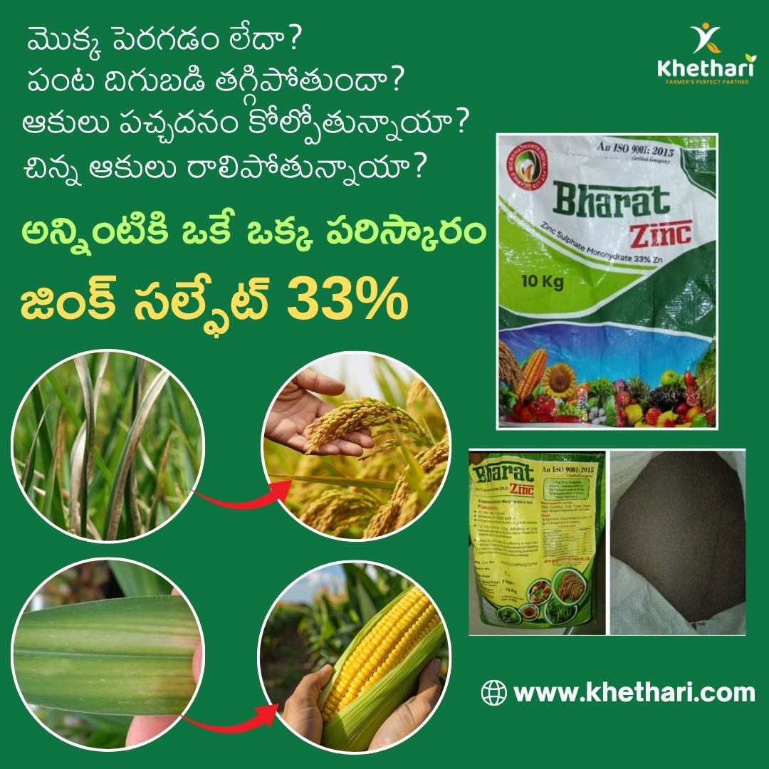 జింక్ సల్ఫేట్ 33% (కనిష్టంగా 5 సంచులు)