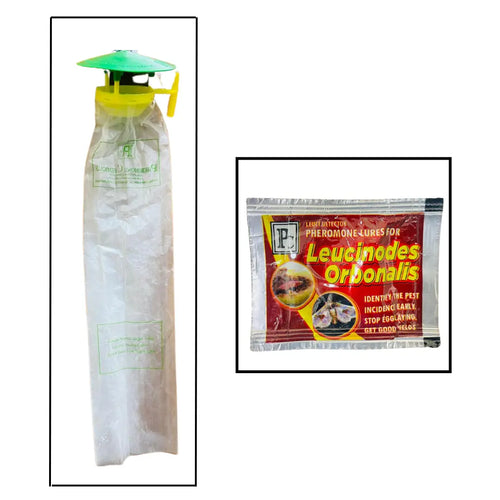 Pheromone traps and Leucinodes orbonalis Lures (Pack of 10).