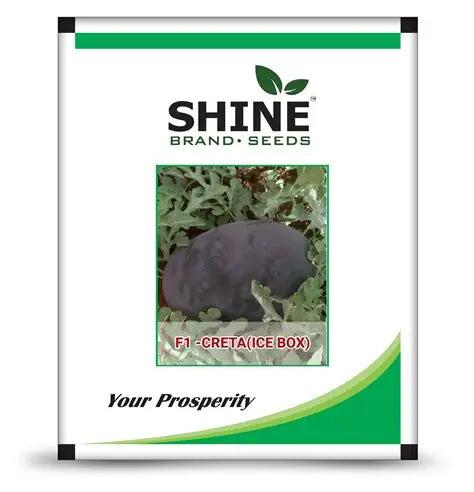 Shine Seeds Watermelon F1 Creta (Ice Box)