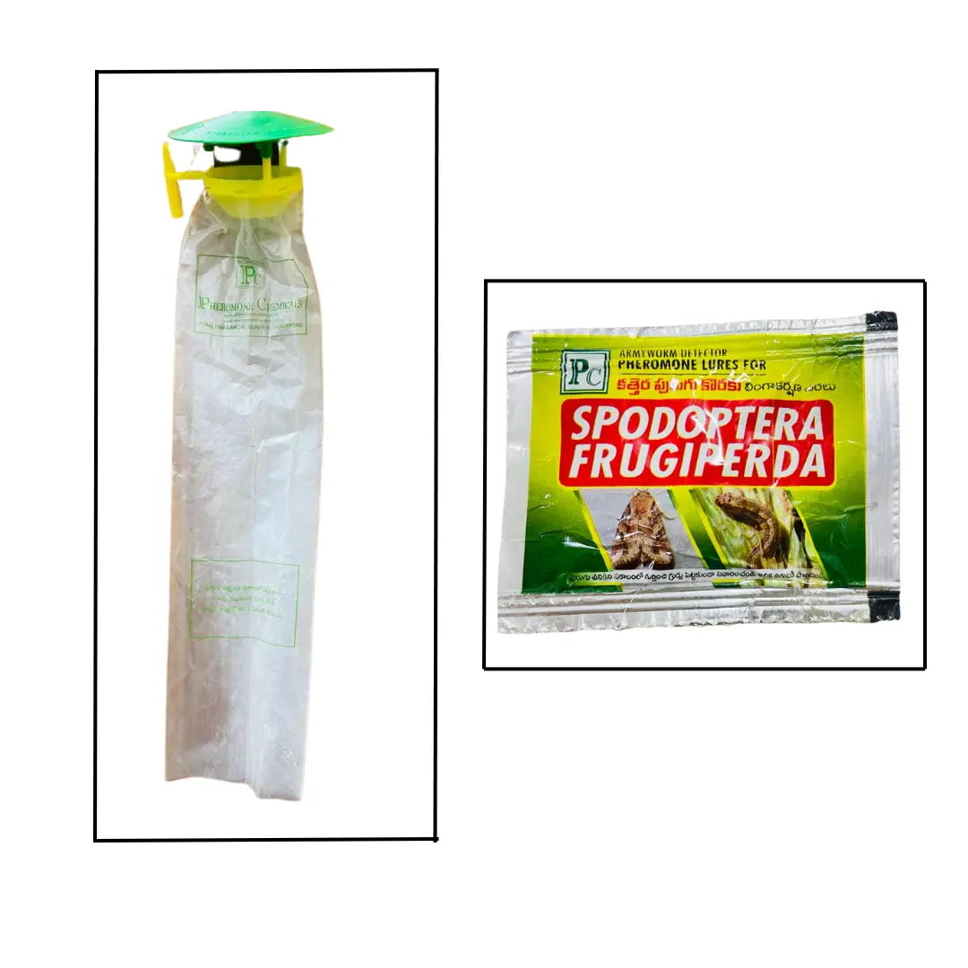 Pheromone Traps and Spodoptera frugiperda lures (pack of 10 Traps and 10 Lures).