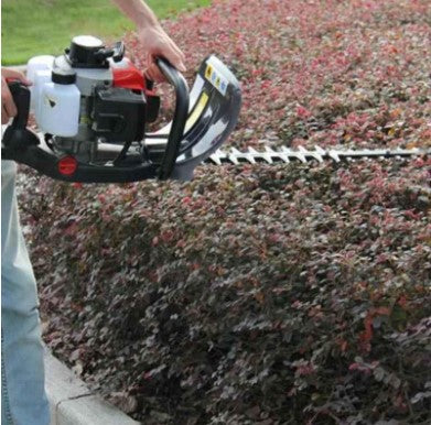 Neptune Hedge trimmer HT-600 with 22.5 CC Petrol engine - Khethari