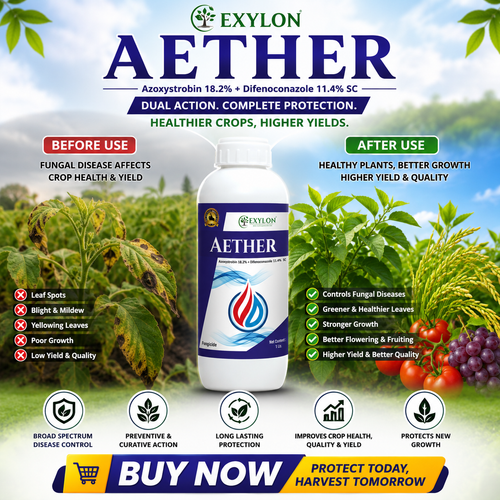 AETHER EXYLON - Azoxystrobin 18.2 % + Difenoconazole 11.4% SC / EXYLON AETHER FUNGICIDE