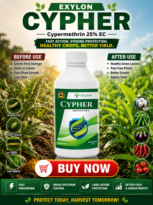 EXYLON CYPHER - Cypermethrin 25% EC/BEST PREMIUM CONTACT INSECTICIDE