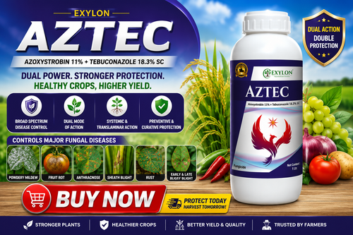 AZTEC-Azoxystrobin 11%+ Tebuconazole 18.3% W/W SC/AZTEC FUNIGICIDE