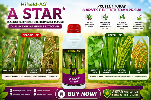 HIFIELD A STAR(AZOXYSTROBIN 18.2%+ DIFENOCONAZOLE 11.4% SC)/ADVANCED DUAL-ACTION SYSTEMIC FUNGICIDE