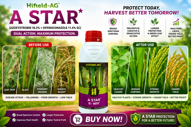 HIFIELD A STAR(AZOXYSTROBIN 18.2%+ DIFENOCONAZOLE 11.4% SC)/ADVANCED DUAL-ACTION SYSTEMIC FUNGICIDE