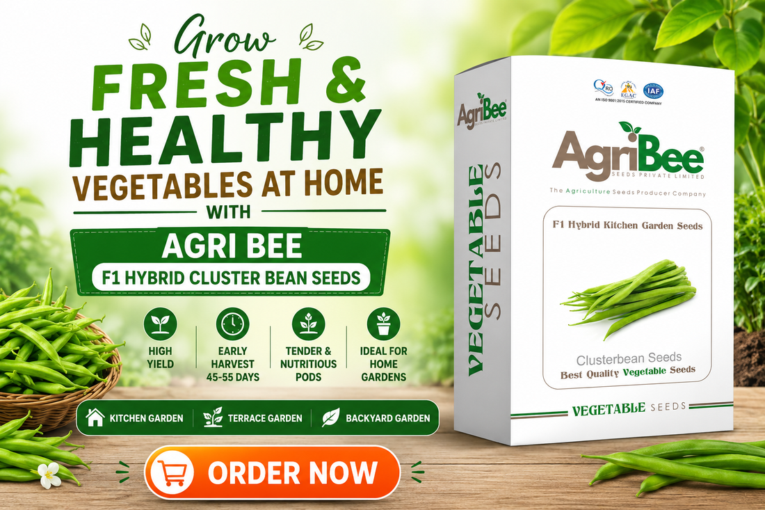 Grow Fresh & Healthy Vegetables at Home with Agri Bee F1 Hybrid Cluster bean Seeds