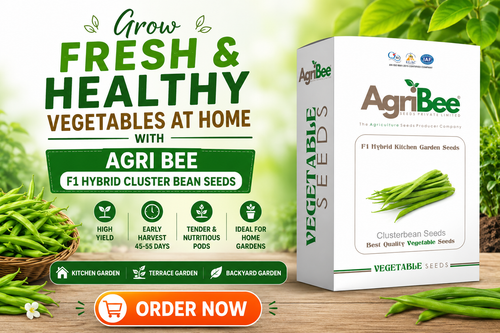 Grow Fresh & Healthy Vegetables at Home with Agri Bee F1 Hybrid Cluster bean Seeds