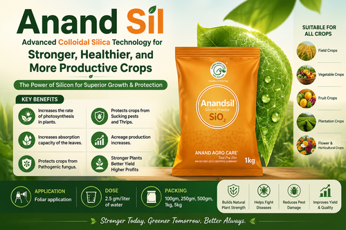 Anand Sil: Advanced Colloidal Silica Technology for Stronger, Healthier, and More Productive Crops