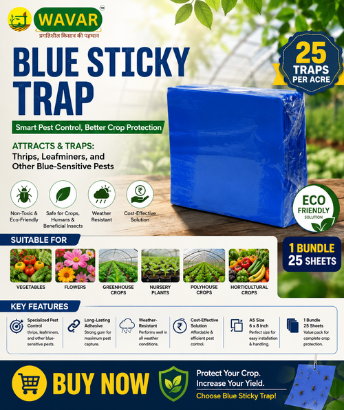 WAVER BLUE STICKY TRAPS