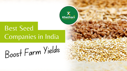Best Seed Companies in India Revolutionizing Agriculture with Innovative Solutions