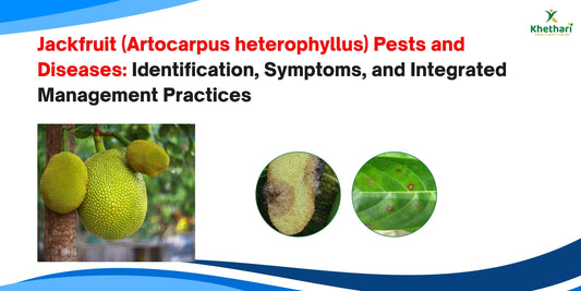 Jackfruit (Artocarpus heterophyllus) Pests and Diseases: Identification, Symptoms, and Integrated Management Practices