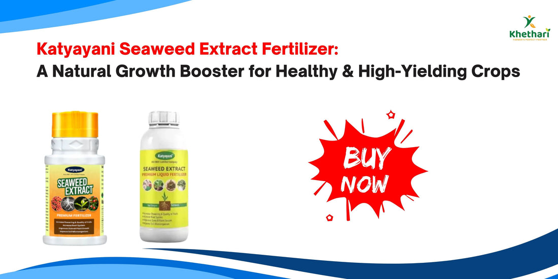 Katyayani Seaweed Extract Fertilizer: A Natural Growth Booster for Healthy & High-Yielding Crops