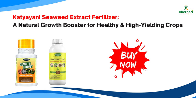 Katyayani Seaweed Extract Fertilizer: A Natural Growth Booster for Healthy & High-Yielding Crops