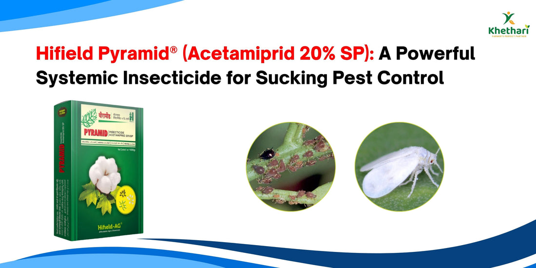 Hifield Pyramid® (Acetamiprid 20% SP): A Powerful Systemic Insecticide for Sucking Pest Control