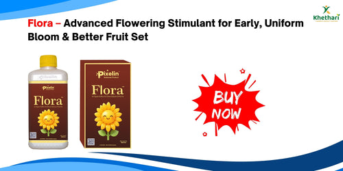 Flora – Advanced Flowering Stimulant for Early, Uniform Bloom & Better Fruit Set