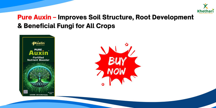 Pure Auxin – Improves Soil Structure, Root Development & Beneficial Fungi for All Crops