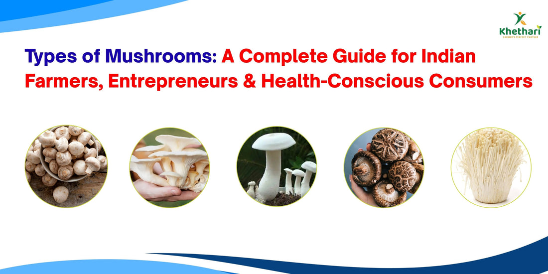 Types of Mushrooms: A Complete Guide for Indian Farmers, Entrepreneurs & Health-Conscious Consumers
