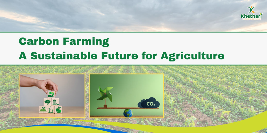 Carbon Farming: A Sustainable Future for Agriculture