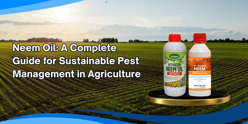 Neem Oil: A Complete Guide for Sustainable Pest Management in Agriculture