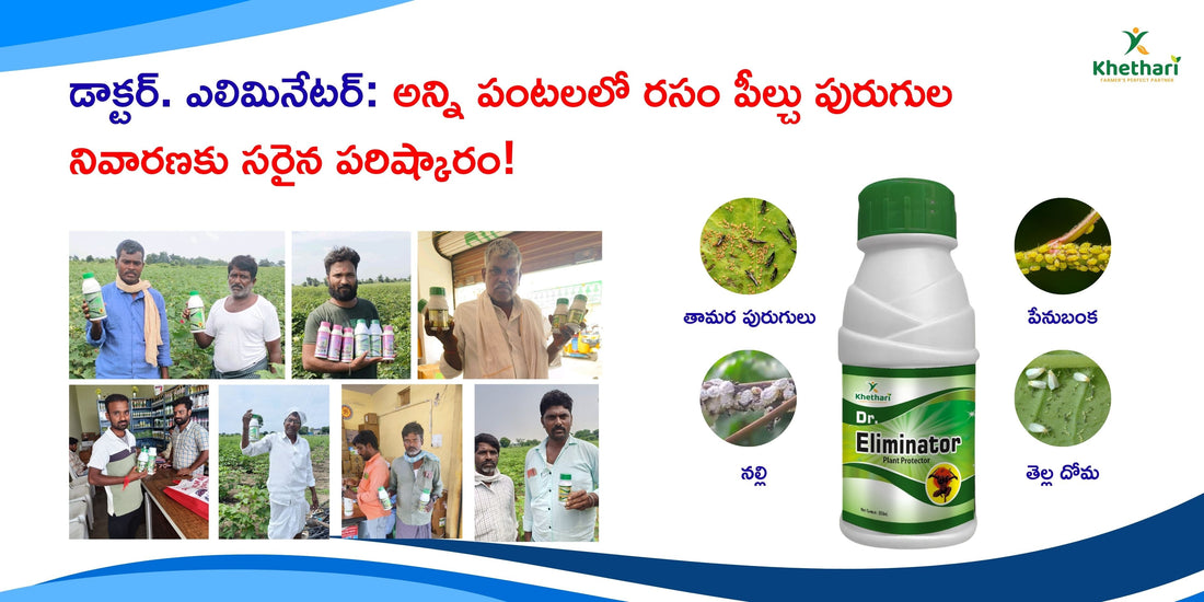 డాక్టర్. ఎలిమినేటర్: అన్ని పంటలలో రసం పీల్చు పురుగుల నివారణకు సరైన పరిష్కారం!