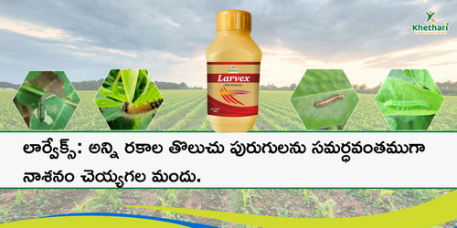 లార్వేక్స్: అన్ని రకాల తొలుచు పురుగులను సమర్ధవంతముగా నాశనం చెయ్యగల మందు.