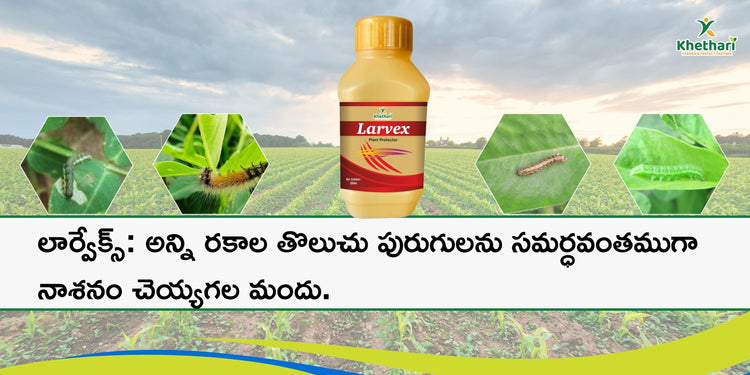 లార్వేక్స్: అన్ని రకాల తొలుచు పురుగులను సమర్ధవంతముగా నాశనం చెయ్యగల మందు.