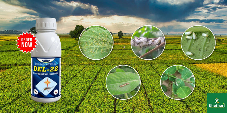 Katyayani Deltamethrin 2.8% EC (DEL-28) – Powerful Broad-Spectrum Insecticide for Effective Pest Control