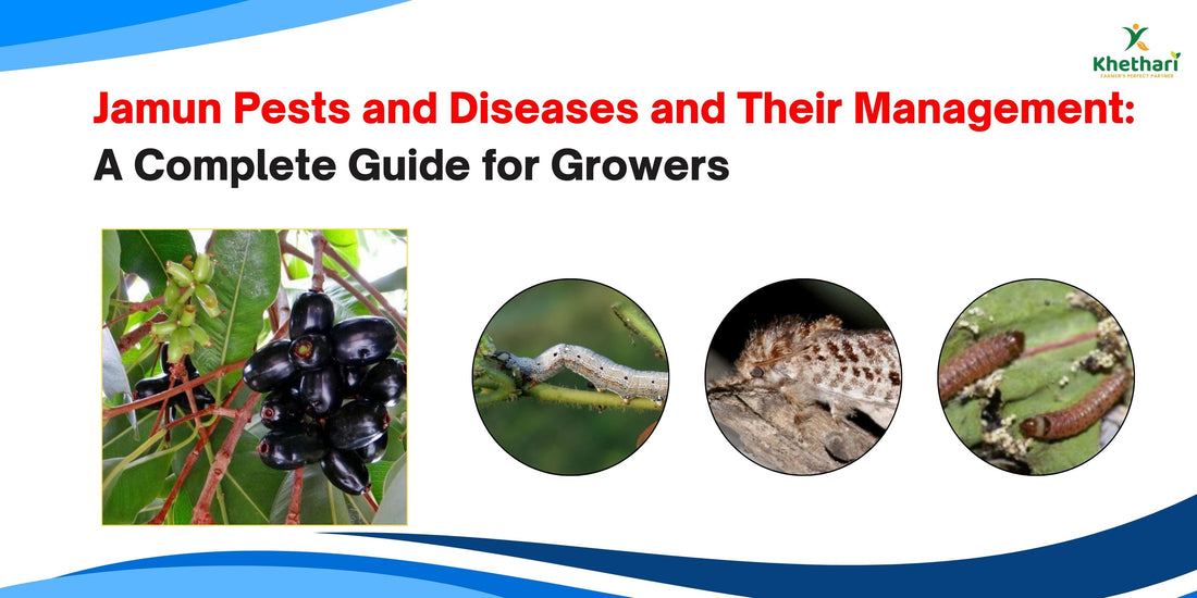 Jamun Pests and Diseases and Their Management: A Complete Guide for Growers