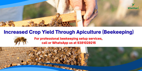 Increased Crop Yield Through Apiculture (Beekeeping)