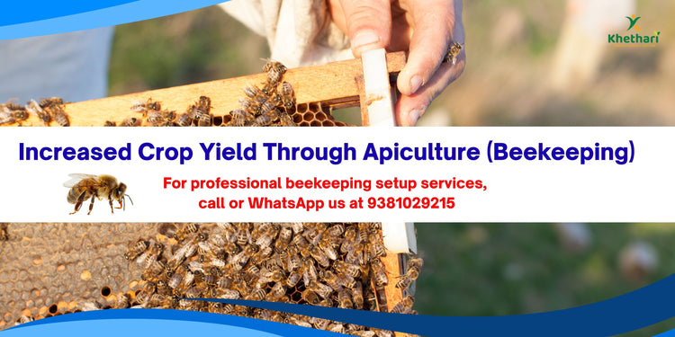 Increased Crop Yield Through Apiculture (Beekeeping)