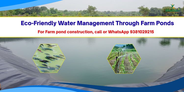 Eco-Friendly Water Management Through Farm Ponds