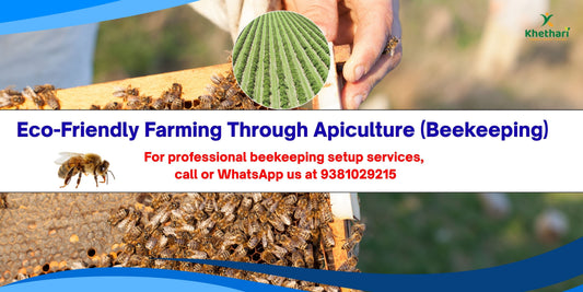 Eco-Friendly Farming Through Apiculture (Beekeeping)