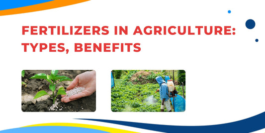 Types of Fertilizers: A Complete Guide for Farmers