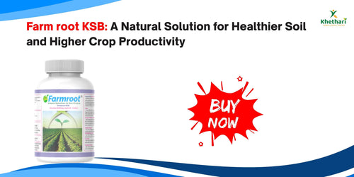 Farm root KSB: A Natural Solution for Healthier Soil and Higher Crop Productivity