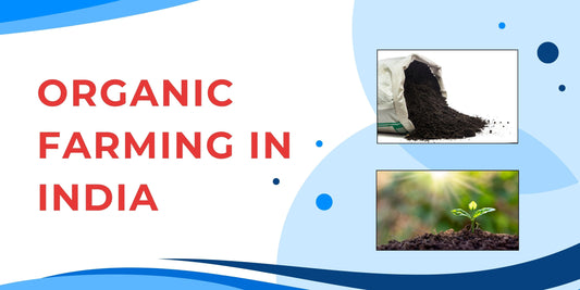 Organic Farming in India