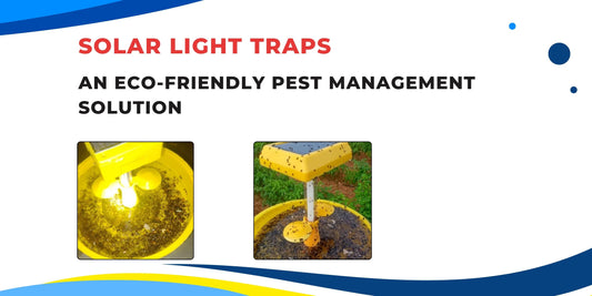 Solar Light Traps: An Eco-Friendly Pest Management Solution