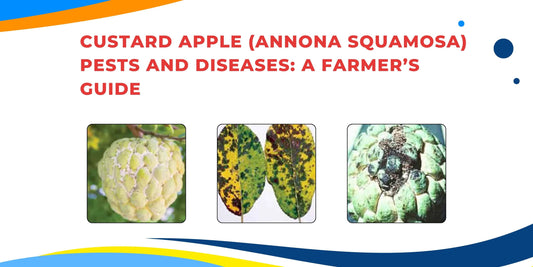 Custard Apple (Annona squamosa) Pests and Diseases: A Farmer’s Guide