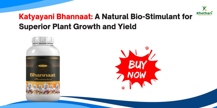 Katyayani Bhannaat: A Natural Bio-Stimulant for Superior Plant Growth and Yield