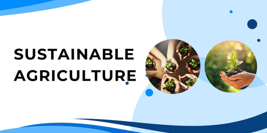 Sustainable Agriculture: Building a Future for Farmers and the Planet