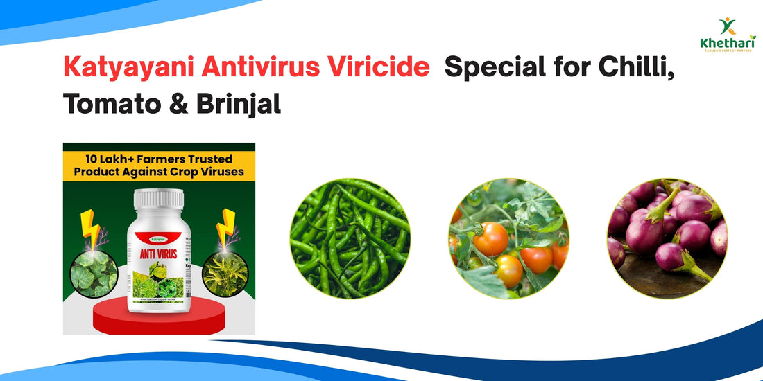Katyayani Antivirus Viricide | Special for Chilli, Tomato & Brinjal