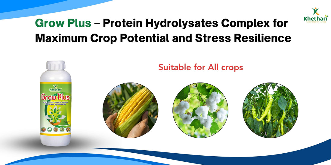 Grow Plus – Protein Hydrolysates Complex for Maximum Crop Potential and Stress Resilience